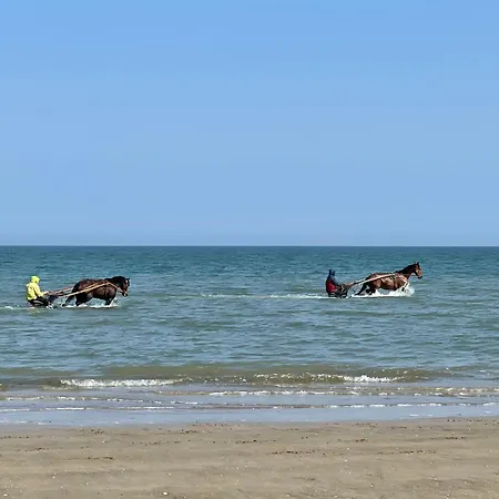 Les Ecuries A 12 Mn De Cabourg * Goustranville