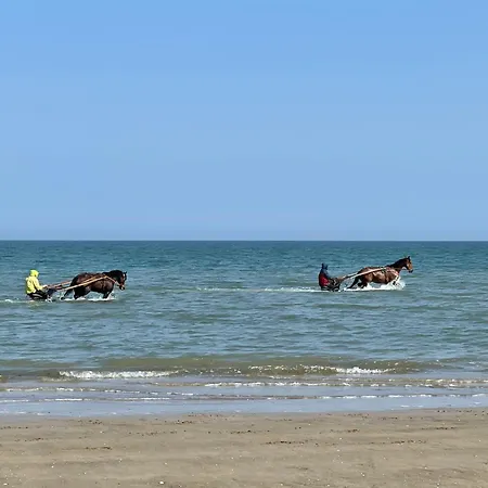 Les écuries à 12 Mn De Cabourg * Goustranville