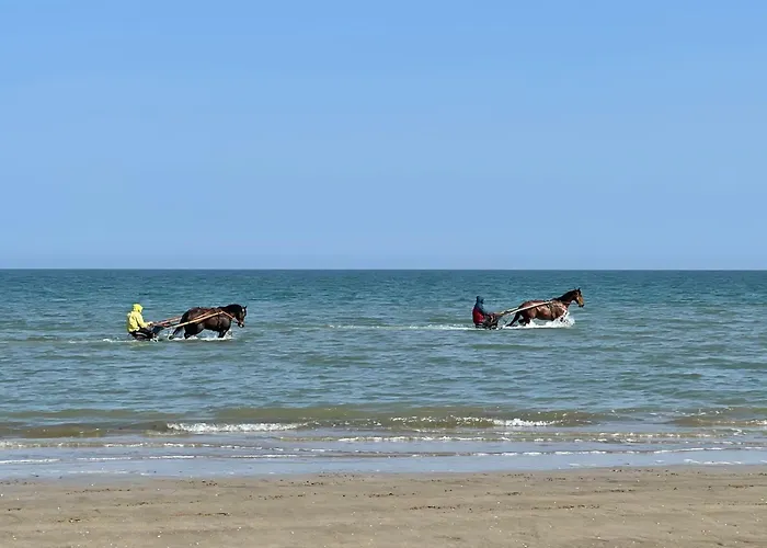 Les Ecuries A 12 Mn De Cabourg * Goustranville